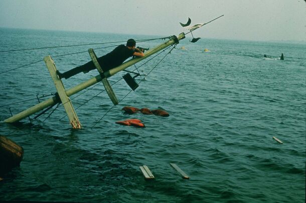 Fifty-one years on, Spielberg still says he fears the sharks are angry at him for what Jaws did to them