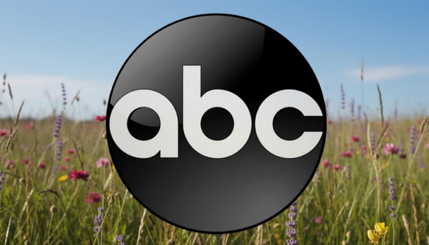 ABC Just Renewed Double Whammy for Season 2