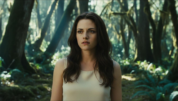 Netflix's Twilight series finally drops major casting news after two years