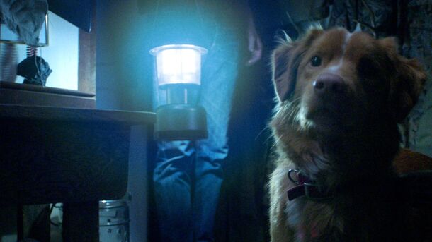 Good Boy movie explained: the director built the ending to read two opposite ways on purpose