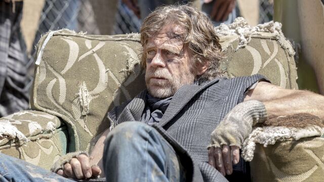 Shameless star William H. Macy got good reviews as a director. He does not want to direct again