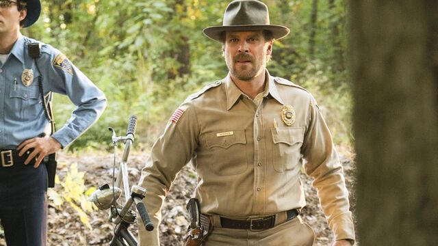 David Harbour and Millie Bobby Brown reunite for a Netflix spy series, and this time they are running it as executive producers
