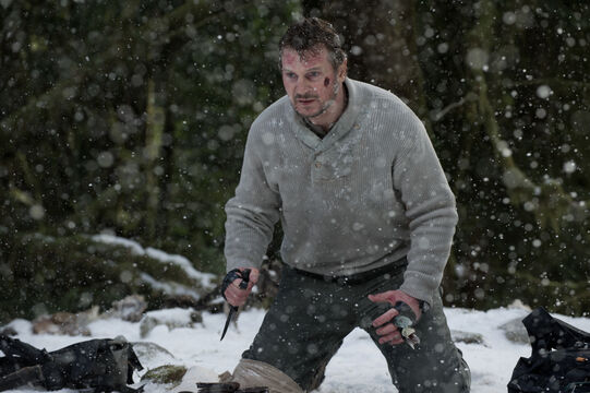 Liam Neeson’s hard pass — one movie genre he won’t go near