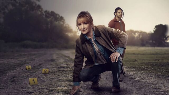How many series of Harry Wild are there? Jane Seymour's sleuth isn't slowing down