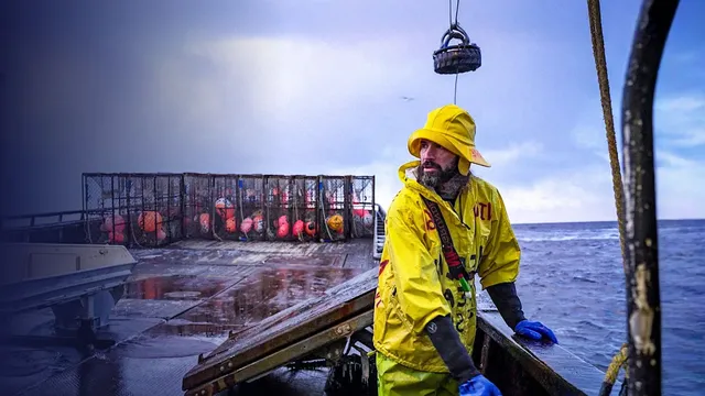 Deadliest Catch: where are they now? Twenty-two seasons on, one skipper just swapped the wheelhouse for flipping houses