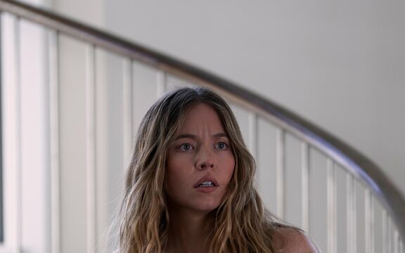 The Housemaid's Secret has found the man who gets tangled up with Sydney Sweeney's Millie
