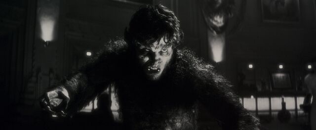 Four years after Werewolf by Night, Gael Garcia Bernal is asking fans to push Marvel into some sense of responsibility
