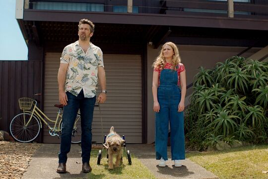 Colin from Accounts: what kind of dog is Colin? It takes two of them to play him