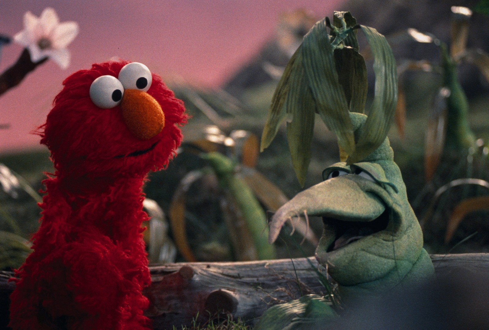 Elmo, Cookie Monster and the whole street are heading to Netflix for a new Sesame Street movie - image 1
