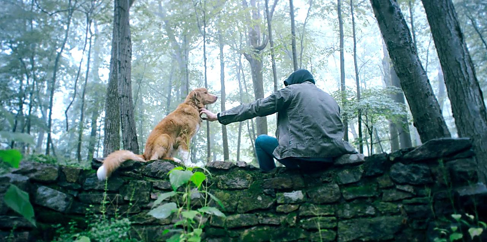 Good Boy movie explained: the director built the ending to read two opposite ways on purpose - image 1