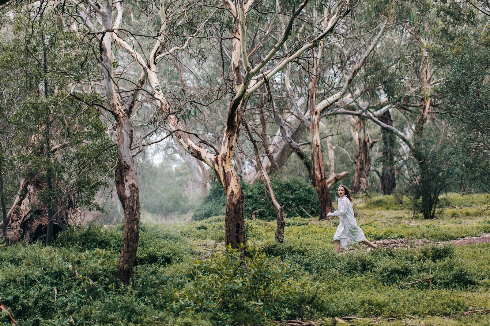 Picnic at Hanging Rock final chapter summary: the ending Joan Lindsay's publisher cut, unseen for twenty years - image 1