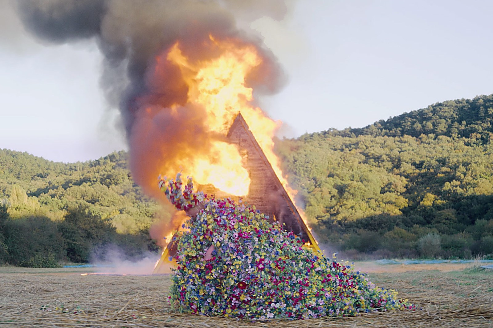 Midsommar ending explained: Ari Aster has said what Dani's final smile means to him - image 1